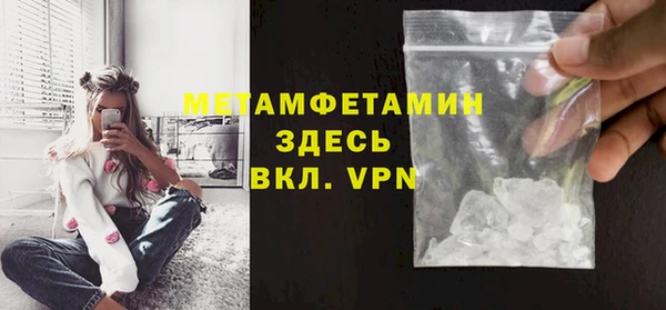 индика Нягань