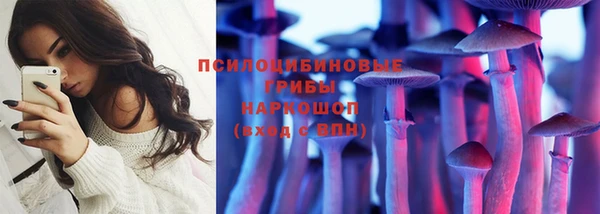 индика Нягань