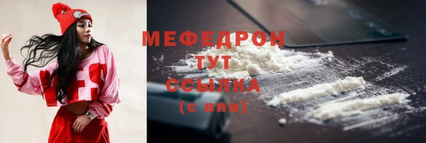 соль ск Няндома
