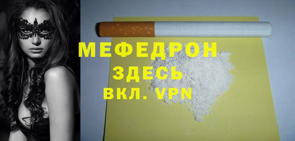 индика Нягань