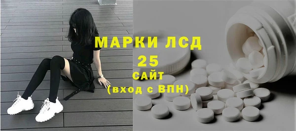 индика Нягань