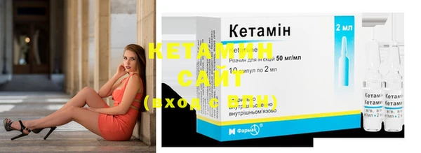 индика Нягань