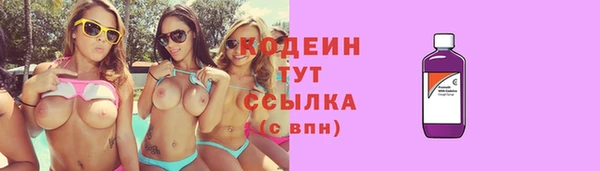 соль ск Няндома