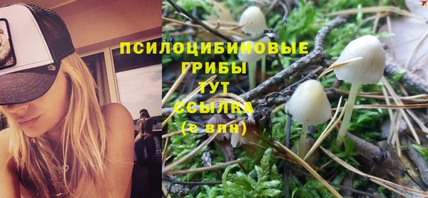 соль ск Няндома