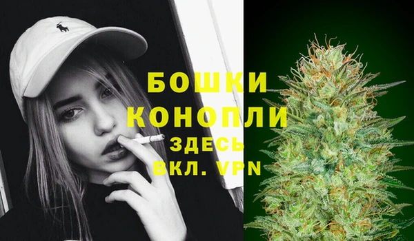 соль ск Няндома