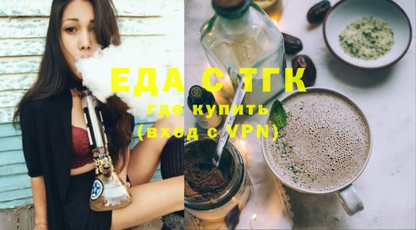 индика Нягань
