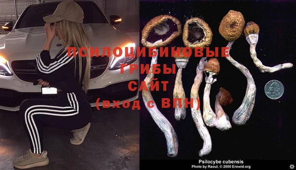 Альфа ПВП Новодвинск