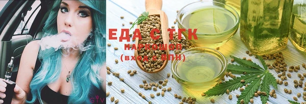 индика Нягань