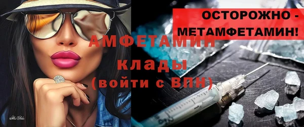 прущие грибы Новозыбков