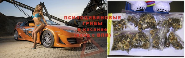 индика Нягань