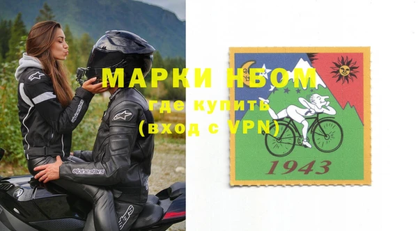 индика Нягань
