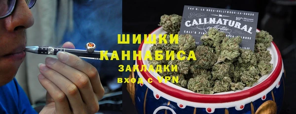 индика Нягань