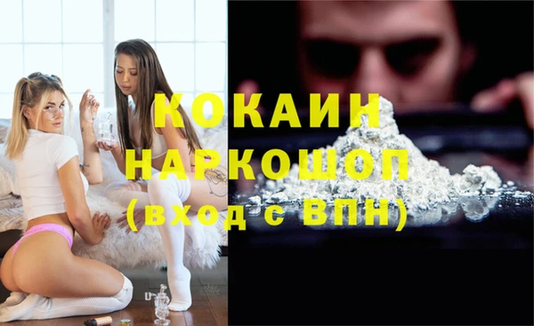 соль ск Няндома