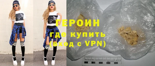 индика Нягань